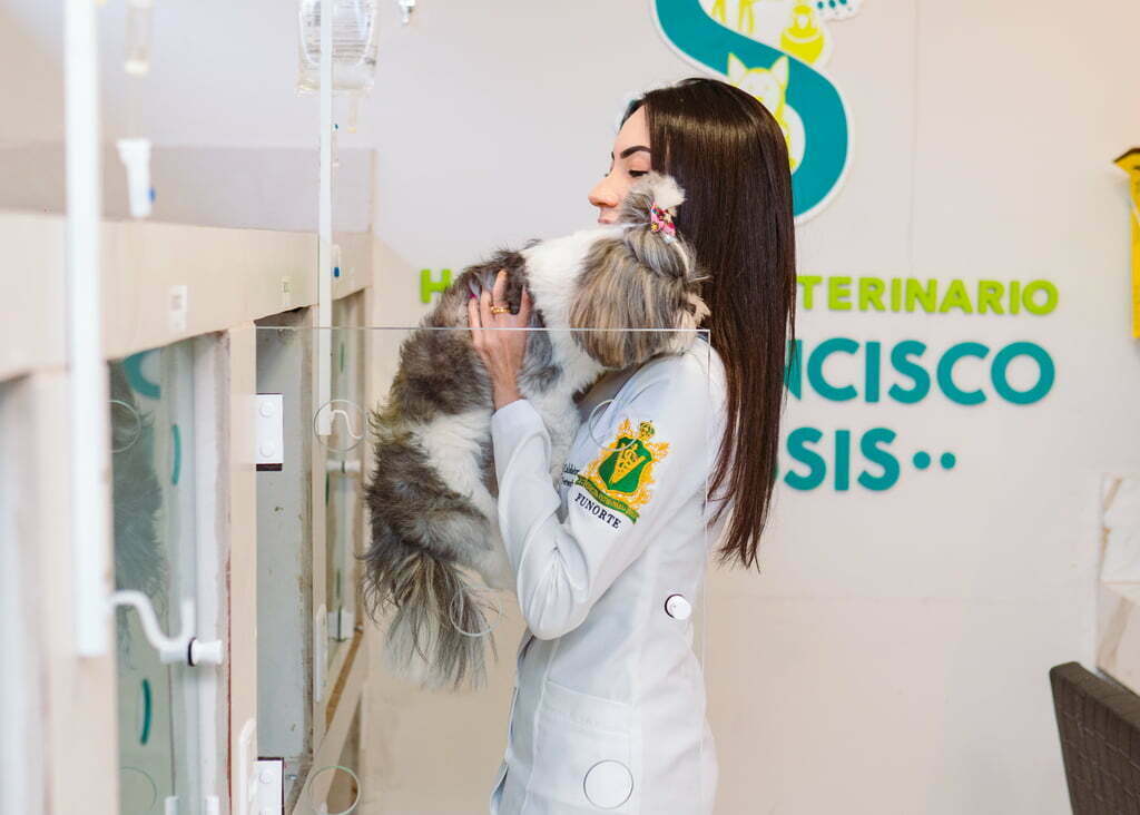 Veterinária segurando um cachorro